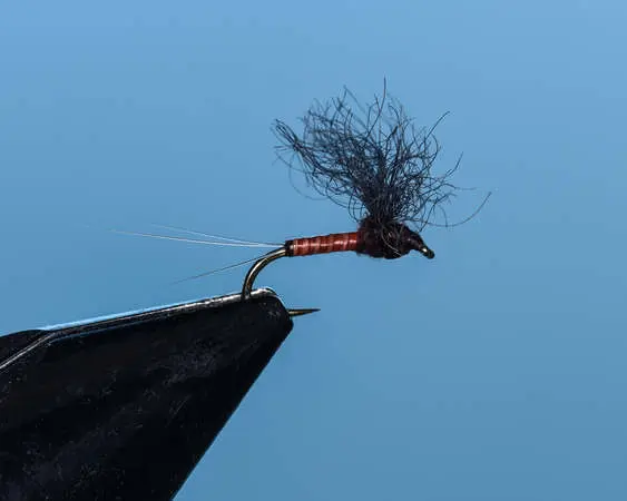 Shop Mayflies | Dry Fly Innovations
